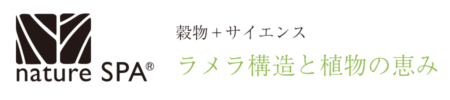 穀物＋サイエンス。ラメラ構造と植物の恵み