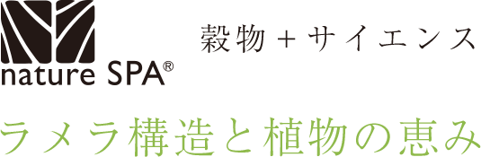 穀物＋サイエンス。ラメラ構造と植物の恵み